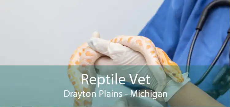 Reptile Vet Drayton Plains - Michigan