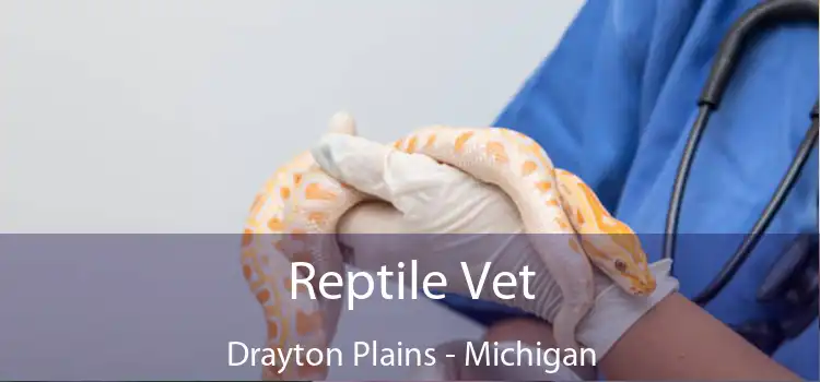 Reptile Vet Drayton Plains - Michigan