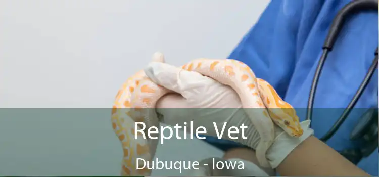 Reptile Vet Dubuque - Iowa