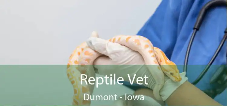 Reptile Vet Dumont - Iowa