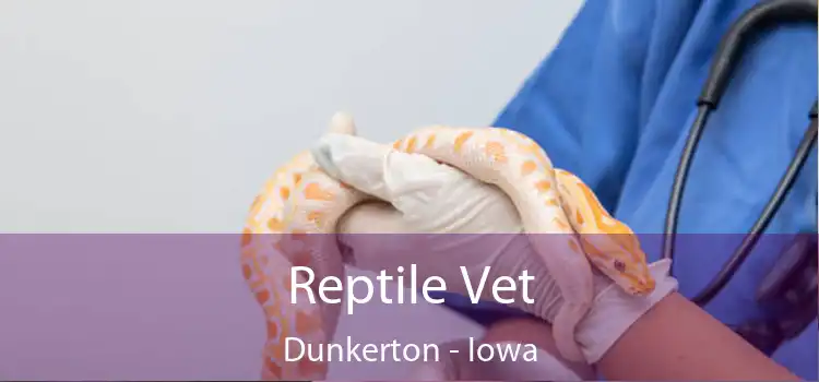 Reptile Vet Dunkerton - Iowa