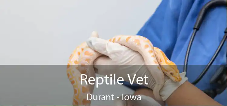 Reptile Vet Durant - Iowa