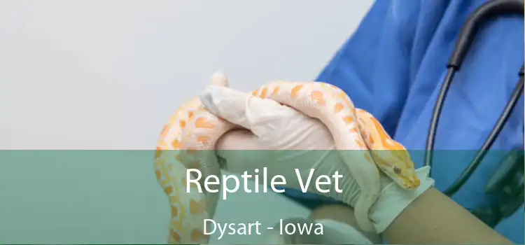 Reptile Vet Dysart - Iowa