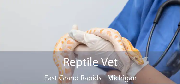 Reptile Vet East Grand Rapids - Michigan