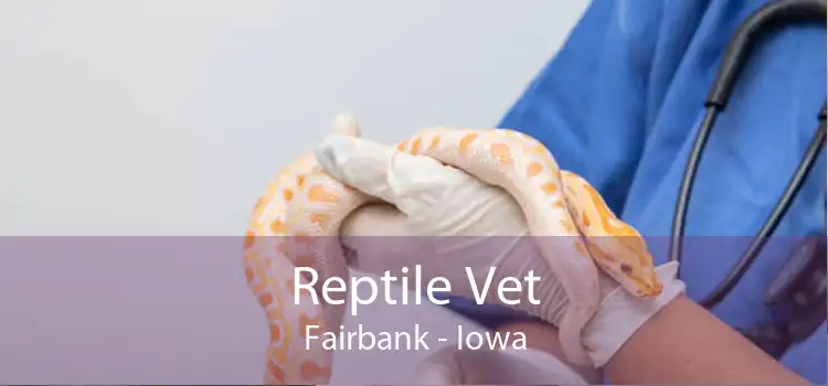 Reptile Vet Fairbank - Iowa