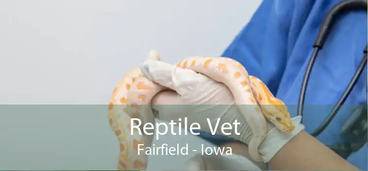 Reptile Vet Fairfield - Iowa