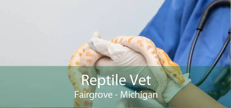 Reptile Vet Fairgrove - Michigan