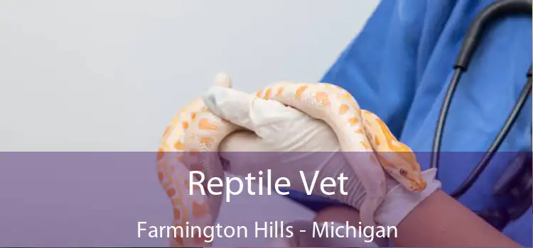 Reptile Vet Farmington Hills - Michigan