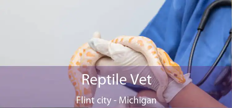 Reptile Vet Flint city - Michigan