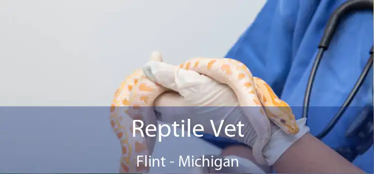 Reptile Vet Flint - Michigan