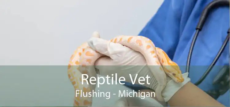 Reptile Vet Flushing - Michigan