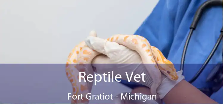 Reptile Vet Fort Gratiot - Michigan