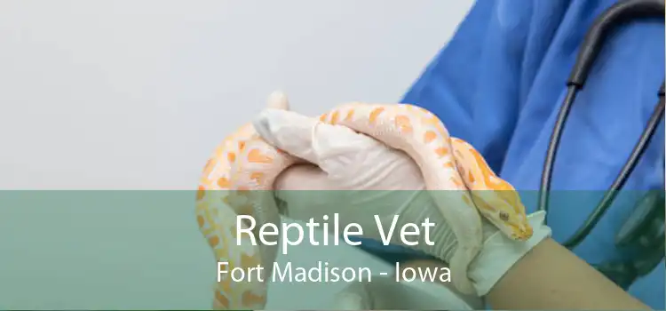 Reptile Vet Fort Madison - Iowa