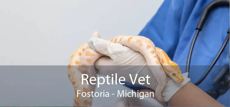 Reptile Vet Fostoria - Michigan