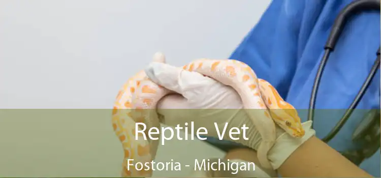 Reptile Vet Fostoria - Michigan