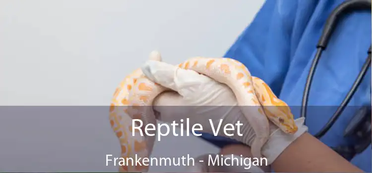 Reptile Vet Frankenmuth - Michigan