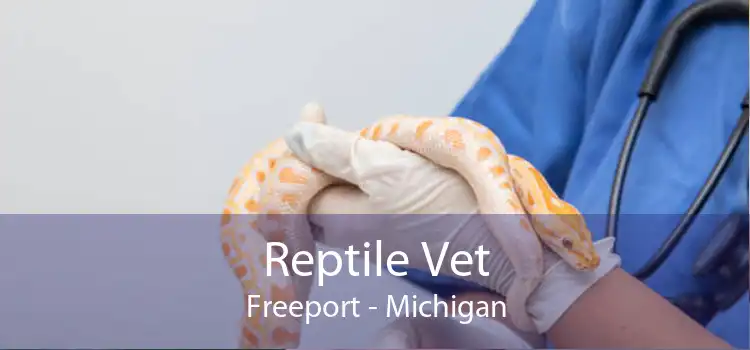 Reptile Vet Freeport - Michigan