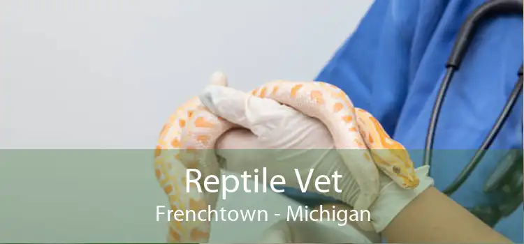 Reptile Vet Frenchtown - Michigan