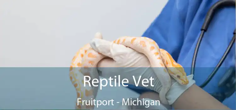 Reptile Vet Fruitport - Michigan