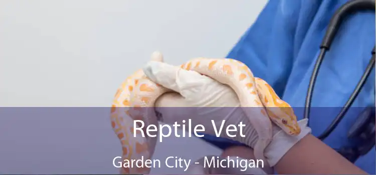 Reptile Vet Garden City - Michigan