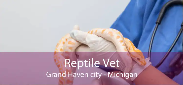 Reptile Vet Grand Haven city - Michigan