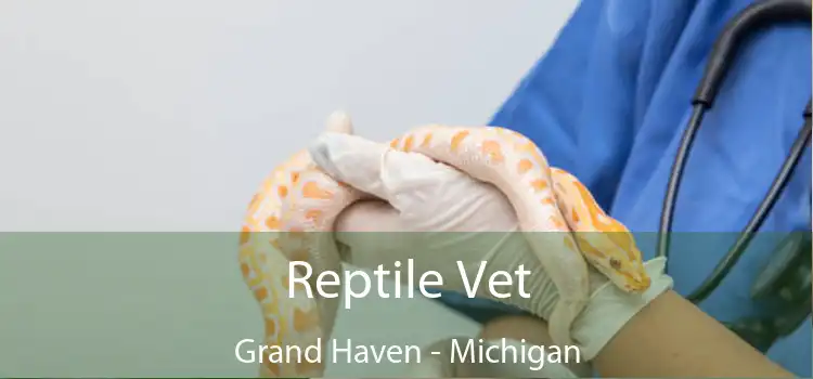 Reptile Vet Grand Haven - Michigan