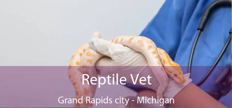 Reptile Vet Grand Rapids city - Michigan