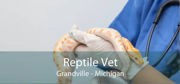 Reptile Vet Grandville - Michigan
