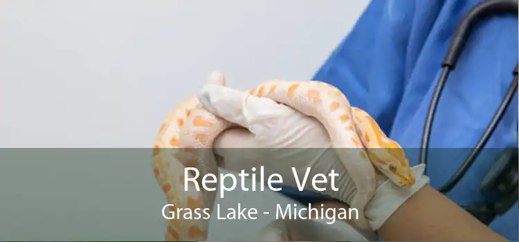 Reptile Vet Grass Lake - Michigan