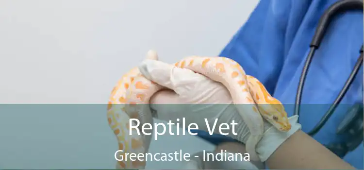 Reptile Vet Greencastle - Indiana