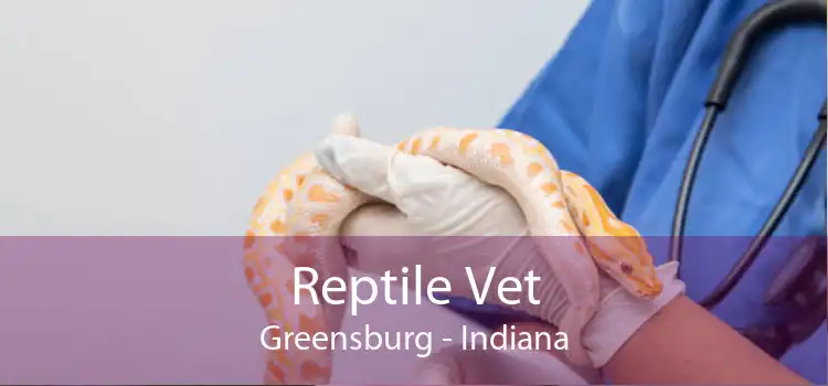 Reptile Vet Greensburg - Indiana