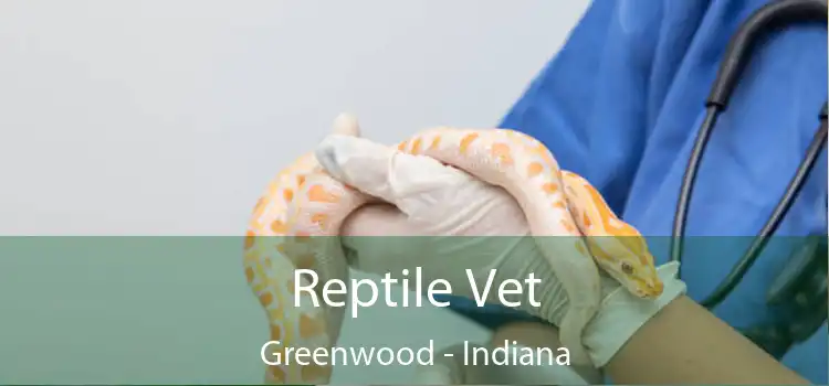 Reptile Vet Greenwood - Indiana