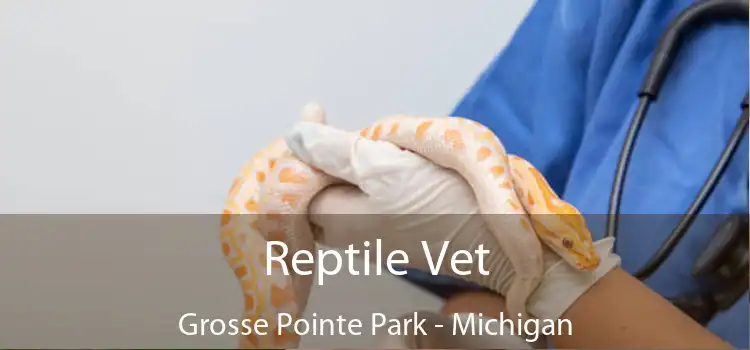 Reptile Vet Grosse Pointe Park - Michigan