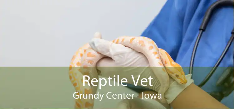 Reptile Vet Grundy Center - Iowa