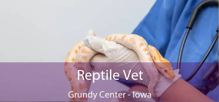 Reptile Vet Grundy Center - Iowa