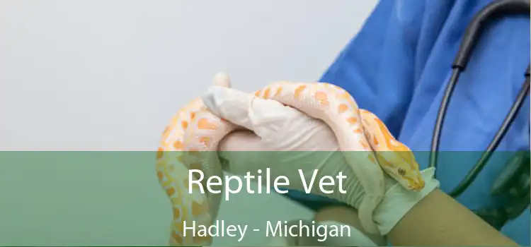 Reptile Vet Hadley - Michigan