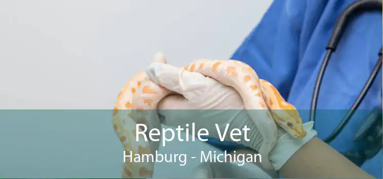 Reptile Vet Hamburg - Michigan