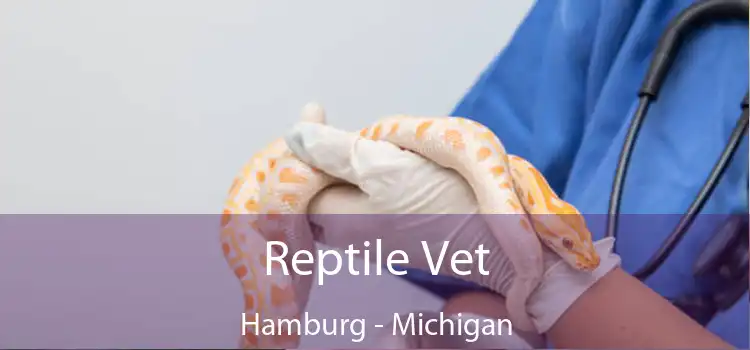 Reptile Vet Hamburg - Michigan