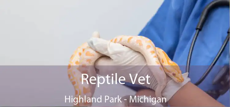 Reptile Vet Highland Park - Michigan