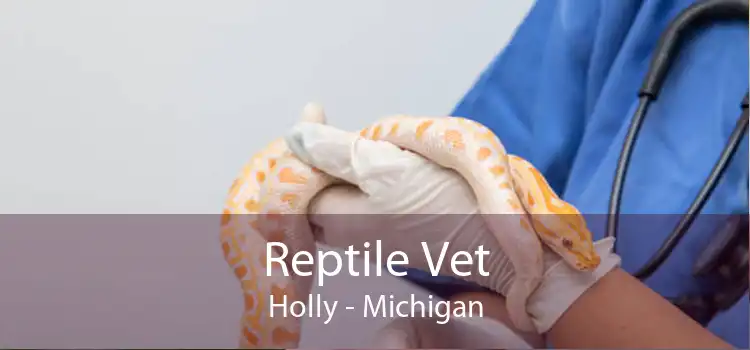 Reptile Vet Holly - Michigan
