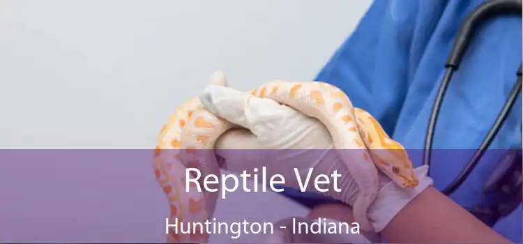 Reptile Vet Huntington - Indiana