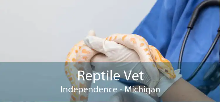 Reptile Vet Independence - Michigan
