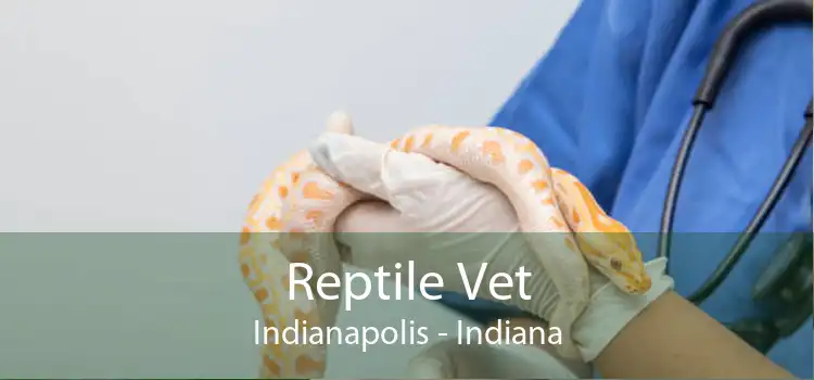 Reptile Vet Indianapolis - Indiana