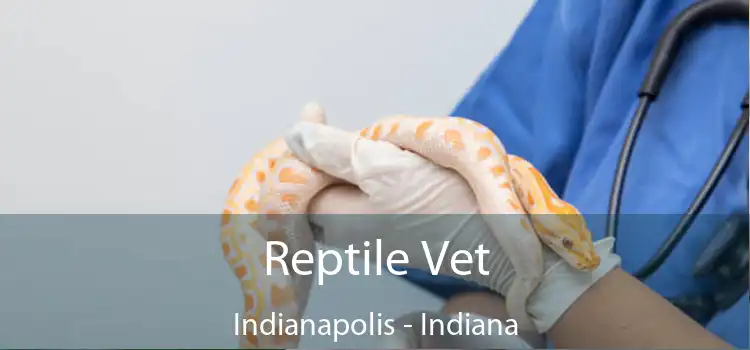 Reptile Vet Indianapolis - Indiana