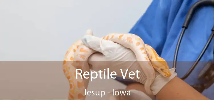 Reptile Vet Jesup - Iowa