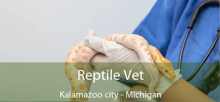 Reptile Vet Kalamazoo city - Michigan