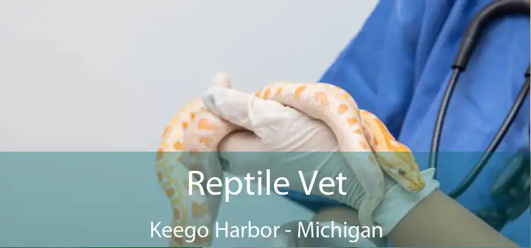 Reptile Vet Keego Harbor - Michigan