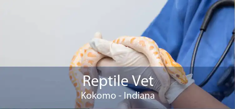 Reptile Vet Kokomo - Indiana