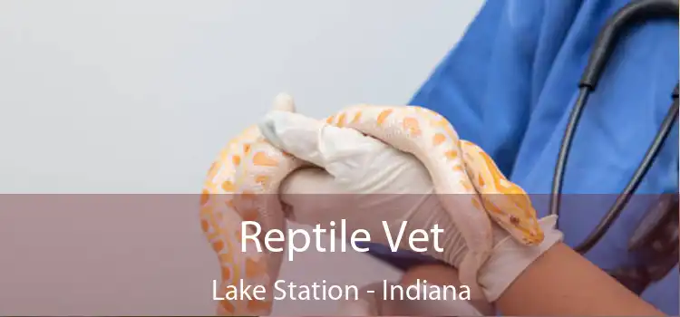 Reptile Vet Lake Station - Indiana