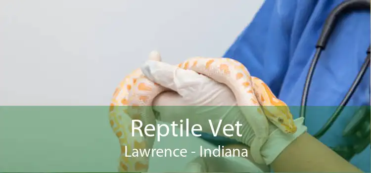 Reptile Vet Lawrence - Indiana